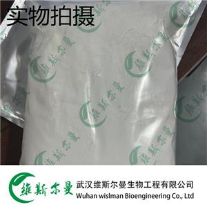 美洛昔康 71125-38-7 維斯?fàn)柭锔呒冊(cè)噭?13419635609
