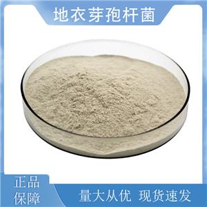 地衣芽孢桿菌