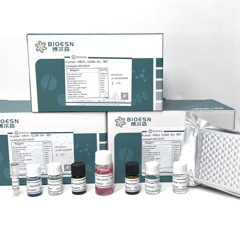 綿羊腫瘤壞死因子α(TNFα) ELISA Kit