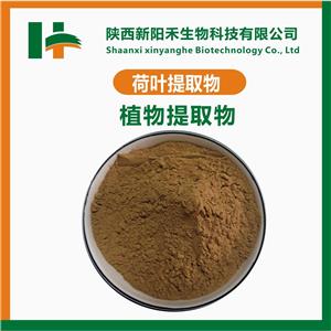 荷葉提取物 荷葉堿2%