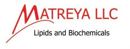 Matreya.jpg Matreya.jpg