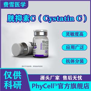 胱抑素C(Cystatin C，Cys C)