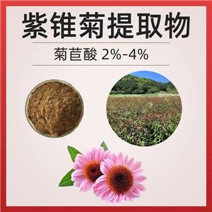 紫錐菊提取物 紫錐菊多酚4% 西安萃源生物供應