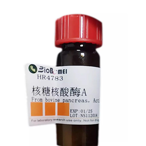 核糖核酸酶A；RNase A