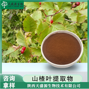 山楂黃酮80% 山楂葉提取物 牡荊素 山楂葉 食品級 現(xiàn)貨