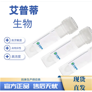 BMPR2蛋白抗體；BMPR2 antibody 艾普蒂生物       
