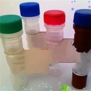 RAB25抗體；RAB25 antibody 艾普蒂生物         
