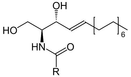 ab37ff31c27a39c4577400a468c0ef1.png ab37ff31c27a39c4577400a468c0ef1.png
