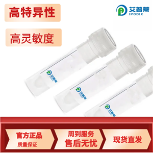 MARK4抗體；MARK4 antibody  艾普蒂生物