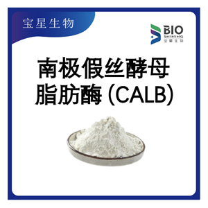 南極假絲酵母脂肪酶B（CALB，固定化酶）