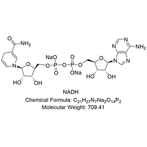 NADH；β-還原型煙酰胺腺嘌呤二核苷酸；還原型輔酶 I