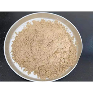 東莨菪內(nèi)酯；92-61-5