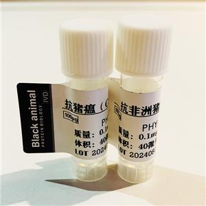 真核表達非洲豬瘟P30/54蛋白，非洲豬瘟抗原，豬瘟抗原