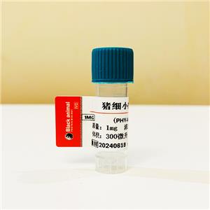 重組豬細小病毒VP2蛋白，豬細小病毒抗原，豬PPV抗原