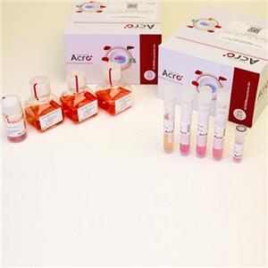 腦類(lèi)器官維持試劑盒-ACROBiosystems百普賽斯