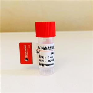 A族鏈球菌抗原；B族鏈球菌抗原；GBS-Ag