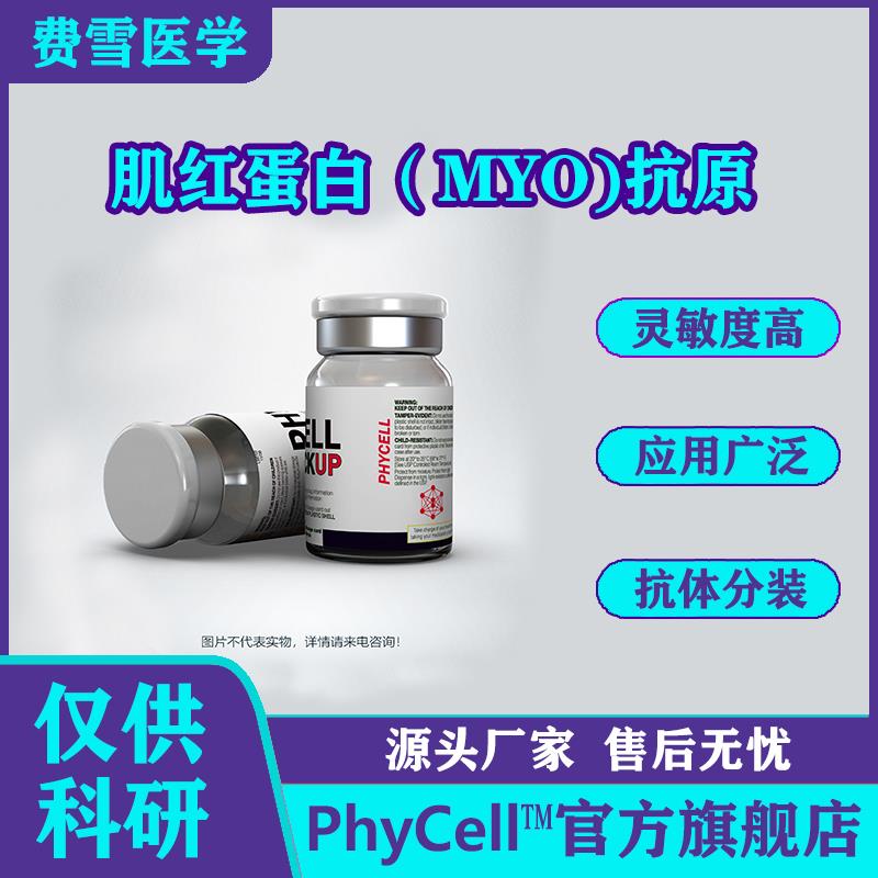 肌紅蛋白(Myoglobin,MYO)抗原.jpg 肌紅蛋白(Myoglobin,MYO)抗原.jpg