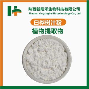 白樺樹汁粉