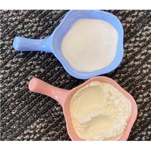 6-氯-1H-吡咯并[2,3-B]吡啶；