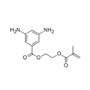 2-(甲基丙烯酸)乙酯3,5-二氨基苯甲酸