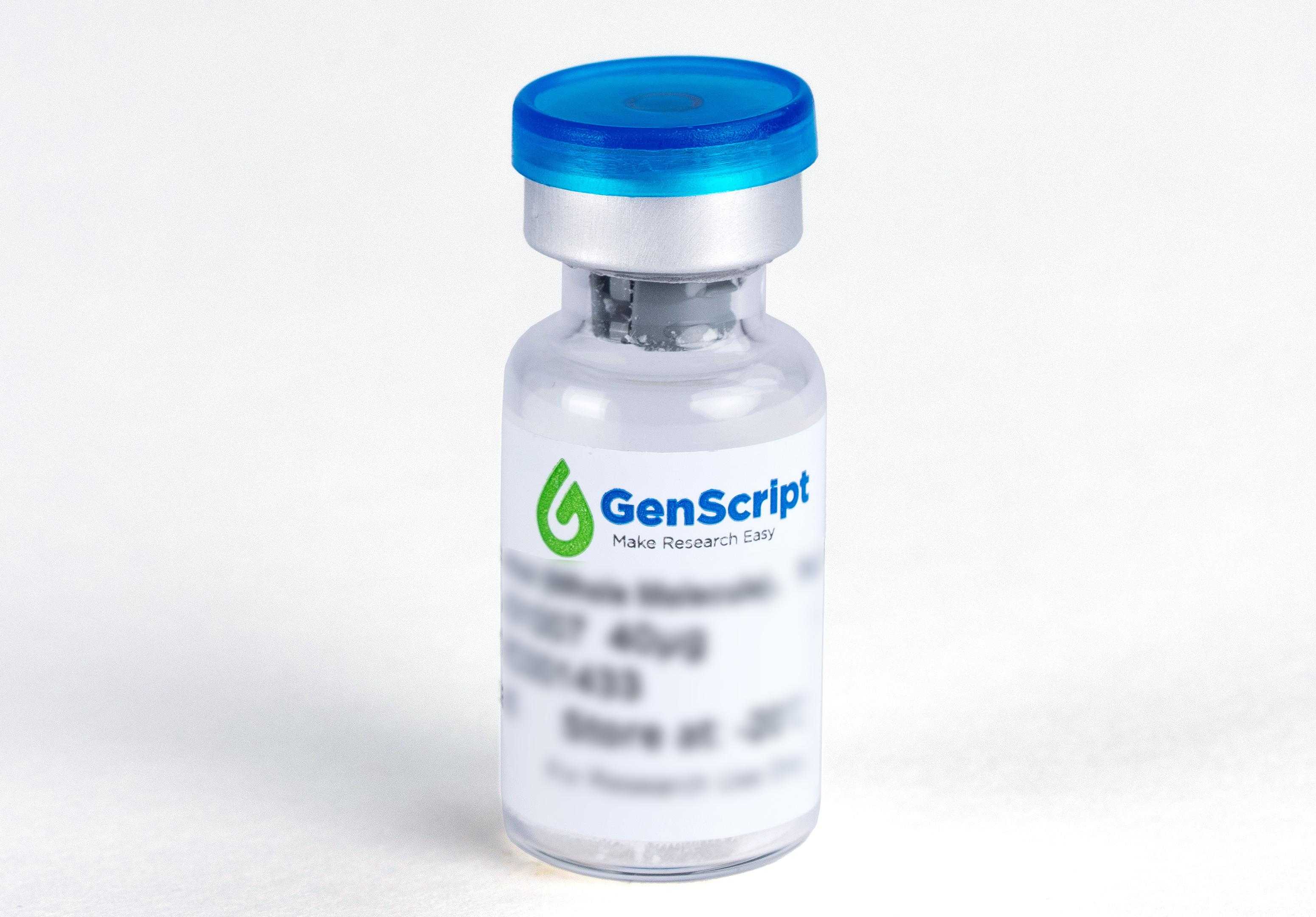 antibody03(1)(1).jpg