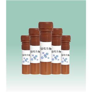 JC-10線粒體膜電位熒光探針的使用方法