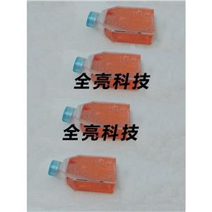 Daudi Cells人Burkitt's淋巴瘤細(xì)胞|送STR圖譜