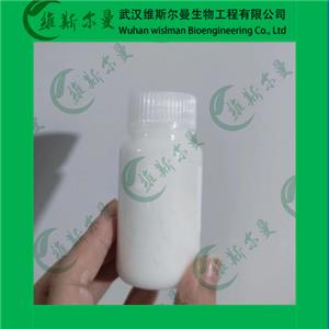 神經(jīng)氨酸酶-9001-67-6-酶活力≥114/mg-酶類化學試劑-找維斯爾曼王華