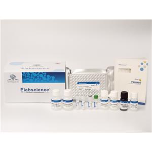 Elabscience 細胞周期檢測試劑盒(紅色熒光)
